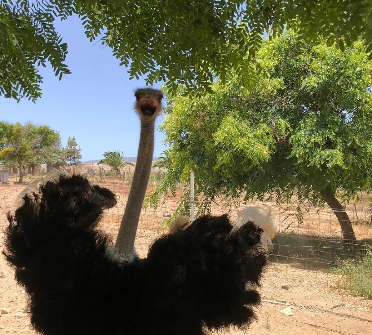 サン・イシドロ Finca Avestruzヴィラ